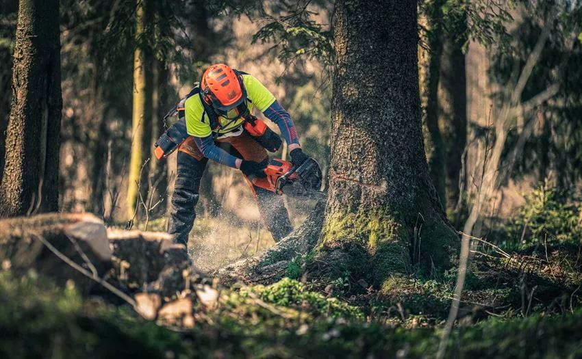 Motosierra Husqvarna 560 Xp Autotune — foto 3