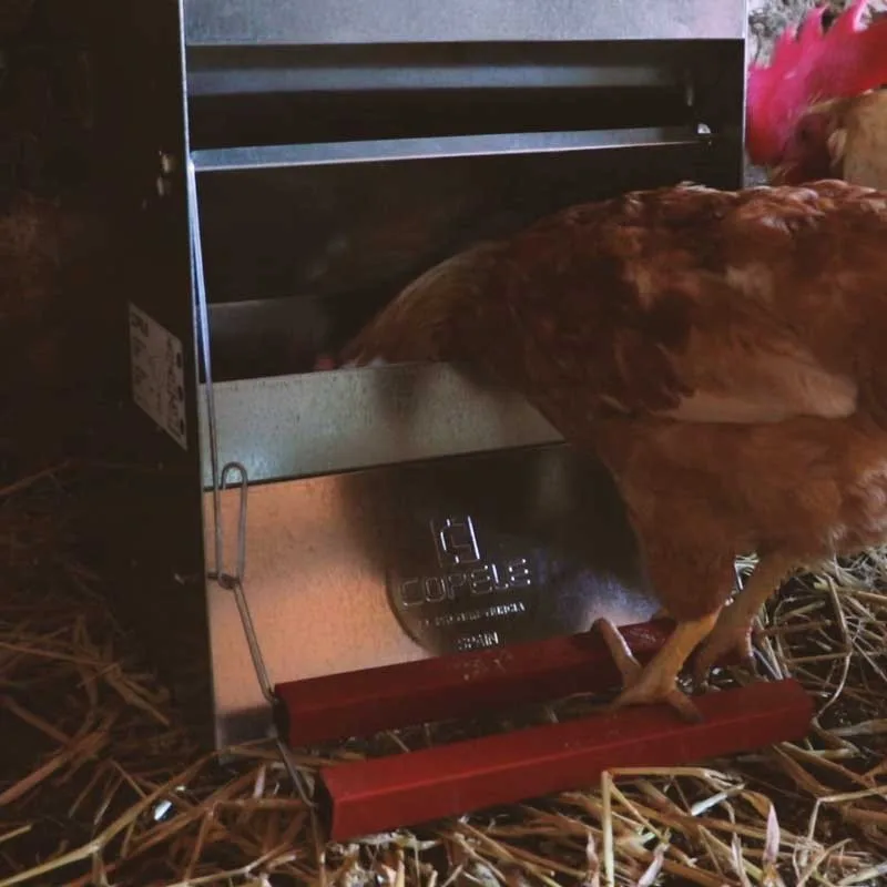 Comedero Automatico Gallinas Safeed 20 kg — foto 3