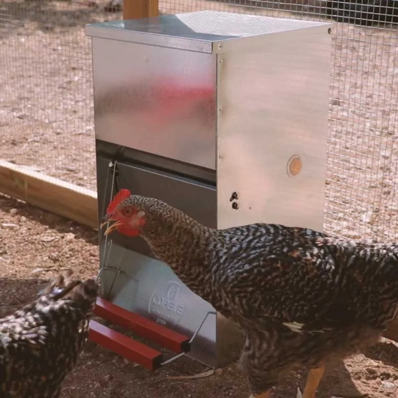 Comedero Automatico Gallinas Safeed 20 kg — foto 2