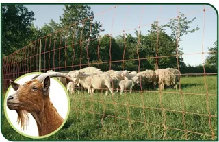 Malla Electrificada para Cabras 50 metros