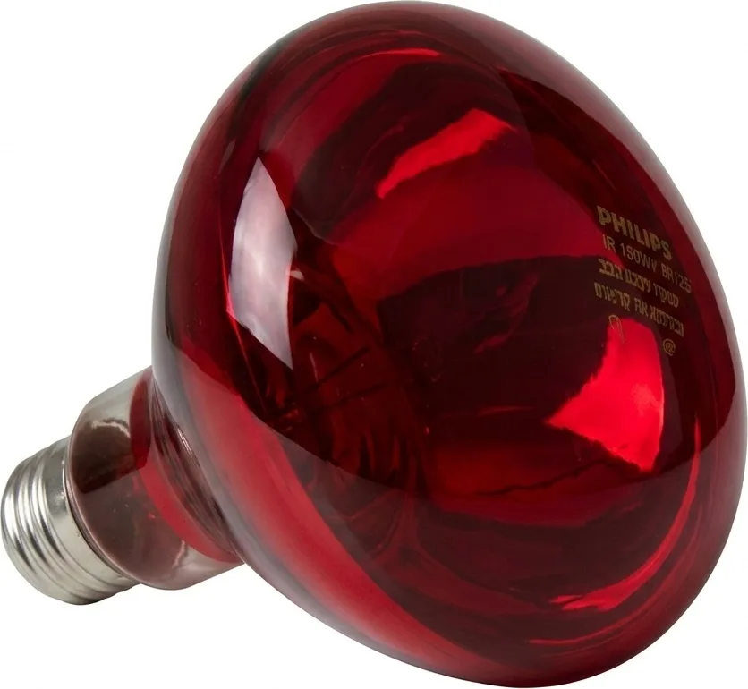 Bombilla Infrarrojos Philips 150 W