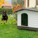 Caseta Perro Dogvilla 70 — foto 3
