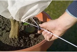 Manta Termica Protector Plantas Beige 1,2x1,6 metros 2 uds — foto 3