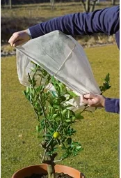 Manta Termica Protector Plantas Beige 1,2x1,6 metros 2 uds — foto 4