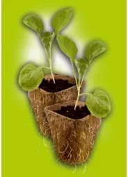 Set 12 Uds Semillero Fibra Turba Biodegradables 10 Huecos — foto 2