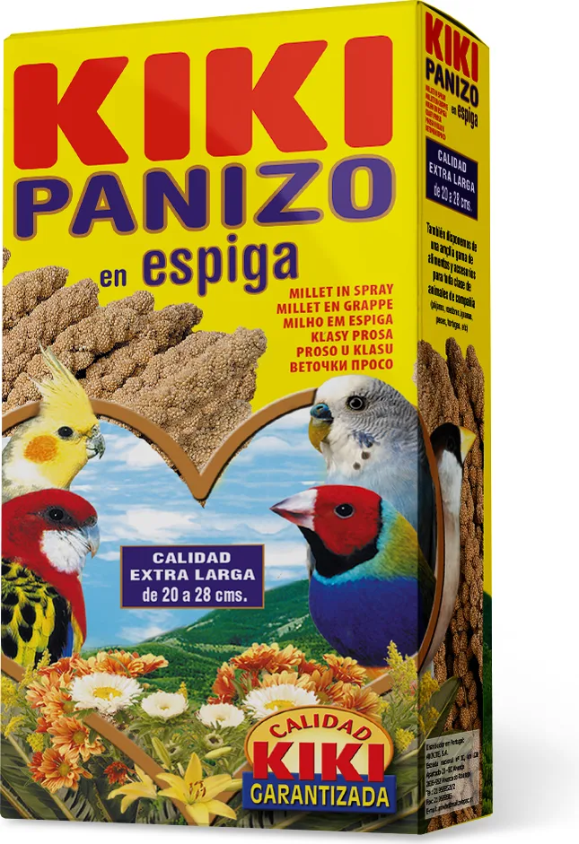 Kiki Panizo en Espiga 100gr