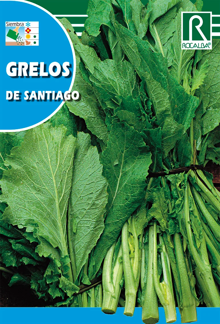 Semilla Grelo de Santiago 250 gr