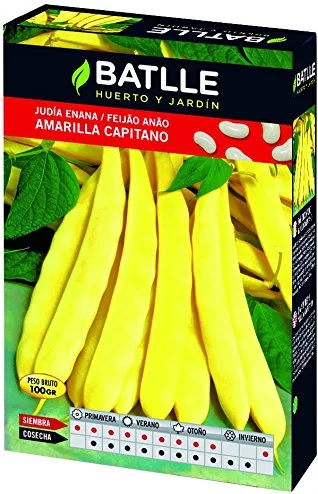 Semilla Judia Amarilla Capitano 250 Gramos