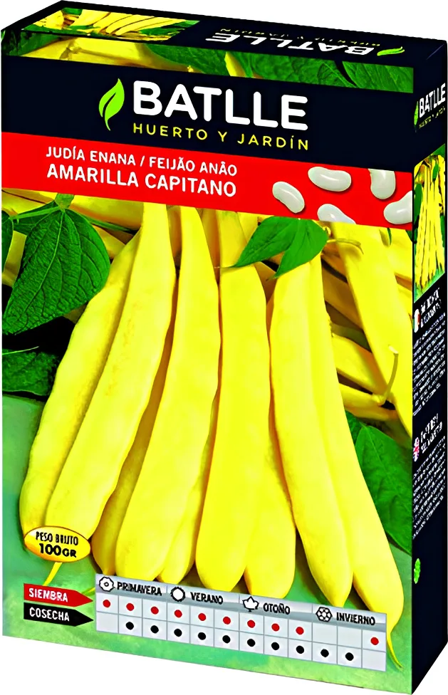 Semilla Judia Amarilla Capitano 250 Gramos — foto 2