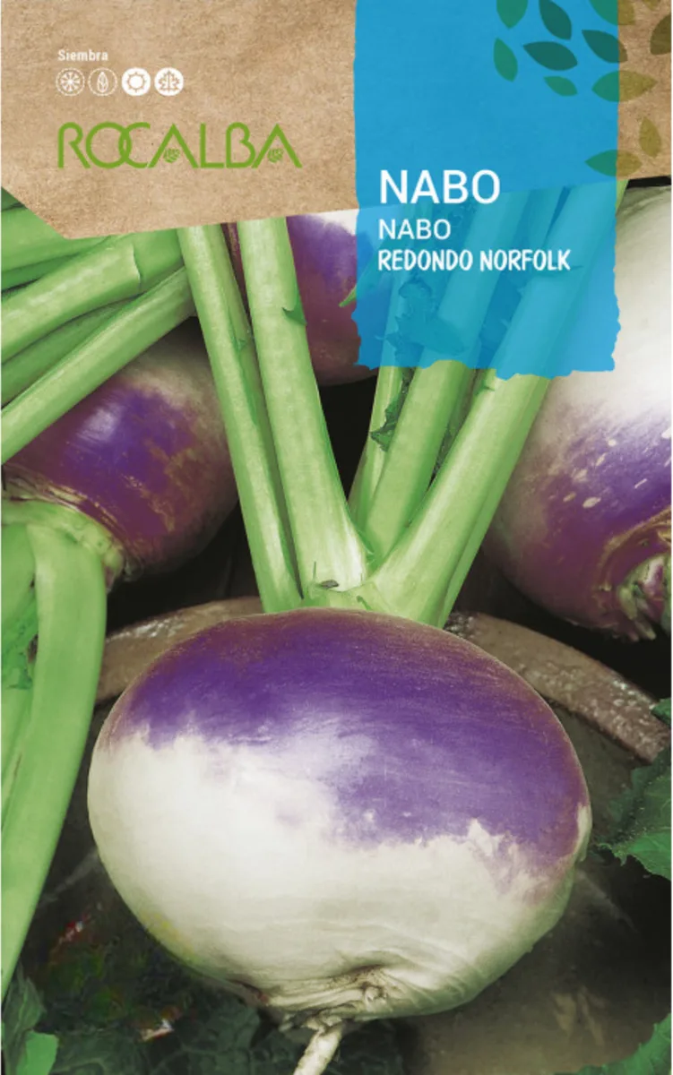 Semilla Nabo Redondo Norkfolk Violeta 250 gr