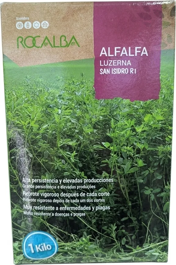 Semilla Alfalfa R-1 San Isidro 1 kg