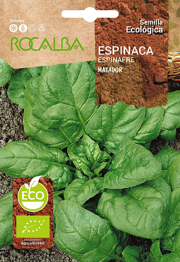 Semilla Ecologica Espinaca Matador