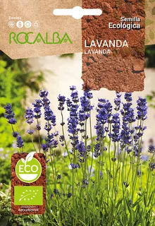 Semilla Ecologica Lavanda