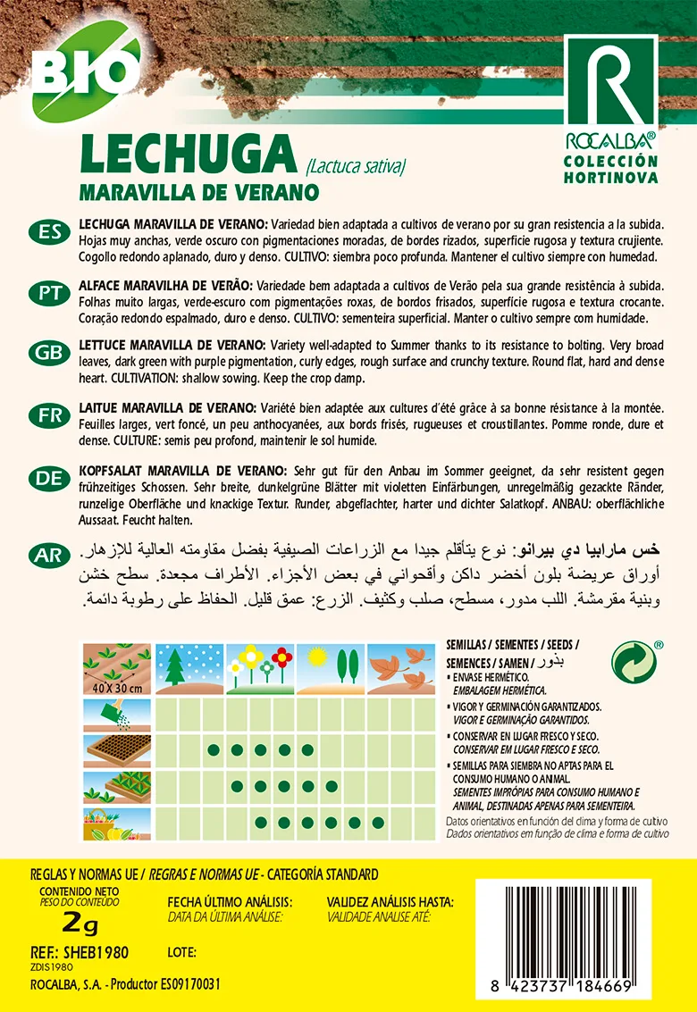 Semilla Ecologica Lechuga Maravilla de Verano — foto 2