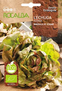 Semilla Ecologica Lechuga Maravilla de Verano
