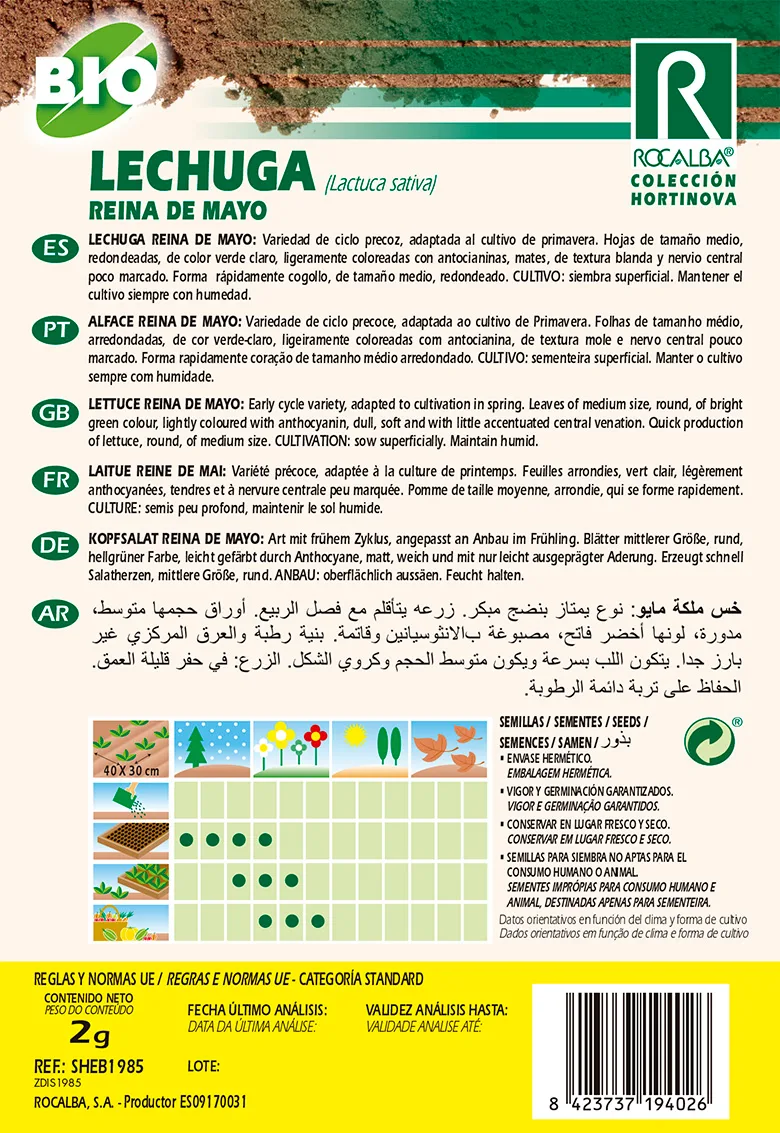 Semilla Ecologica Lechuga Reina de Mayo — foto 2
