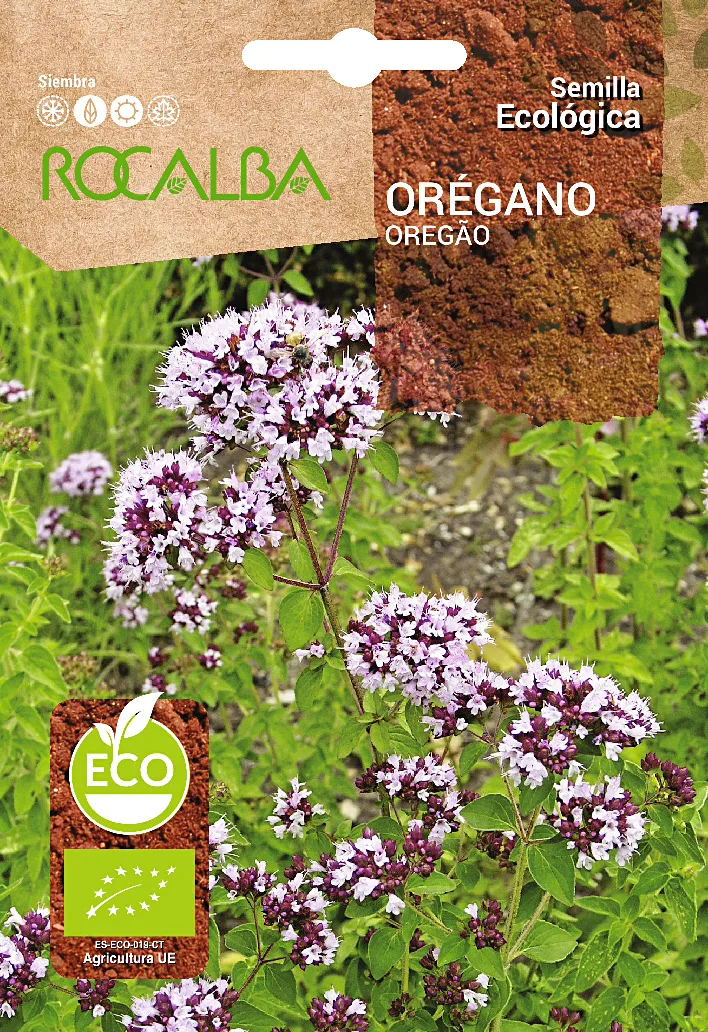 Semilla Ecologica Oregano