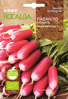 Semilla Ecologica Rabanito French Breakfast 3