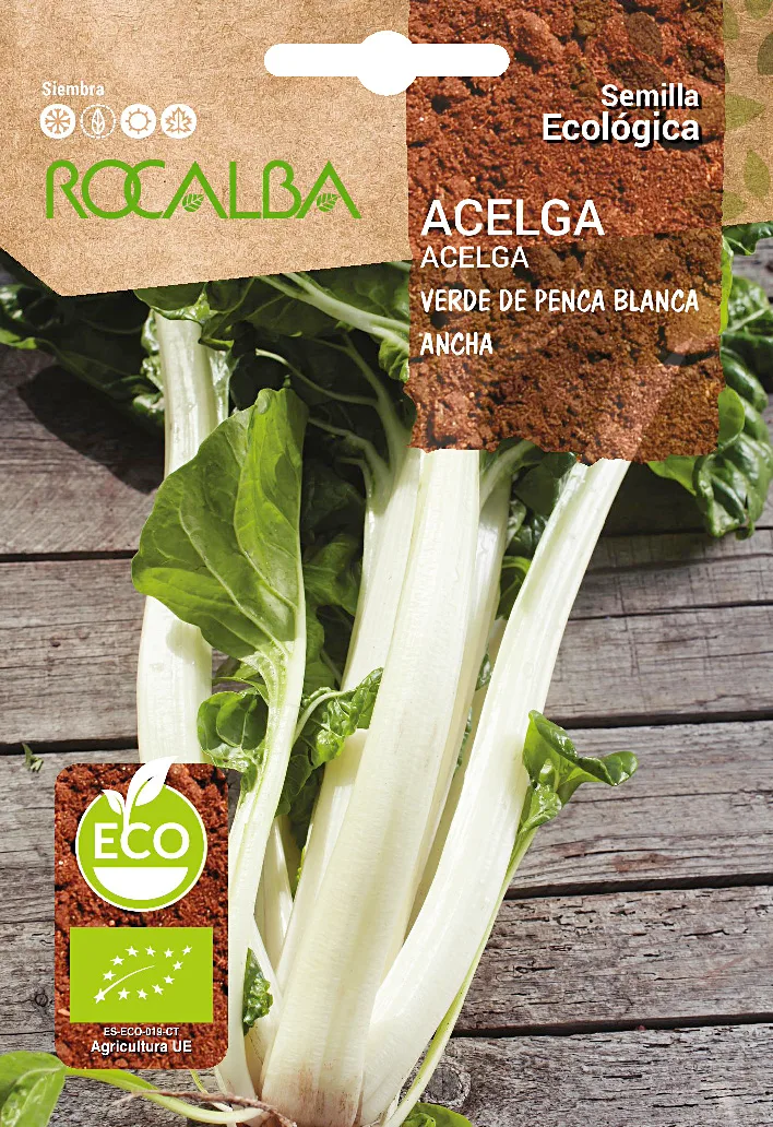 Semilla Ecologica Acelga Verde Penca Ancha blanca 2
