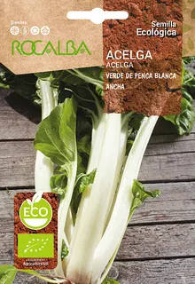 Semilla Ecologica Acelga Verde Penca Ancha blanca 2