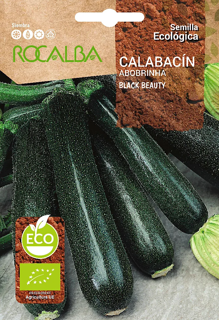 Semilla Ecologica Calabacin Black Beauty