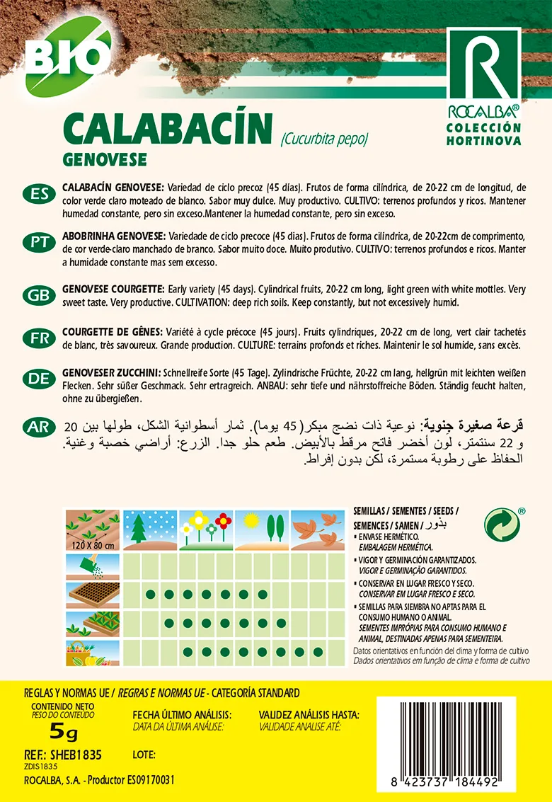 Semilla Ecologica Calabacin Genovese — foto 2