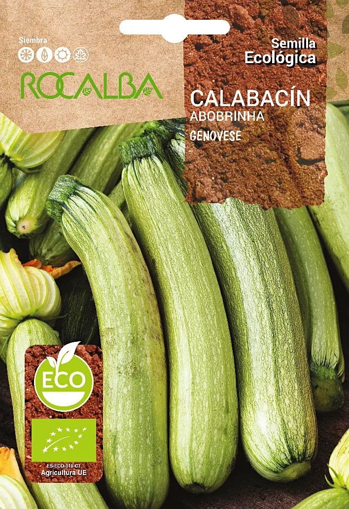 Semilla Ecologica Calabacin Genovese