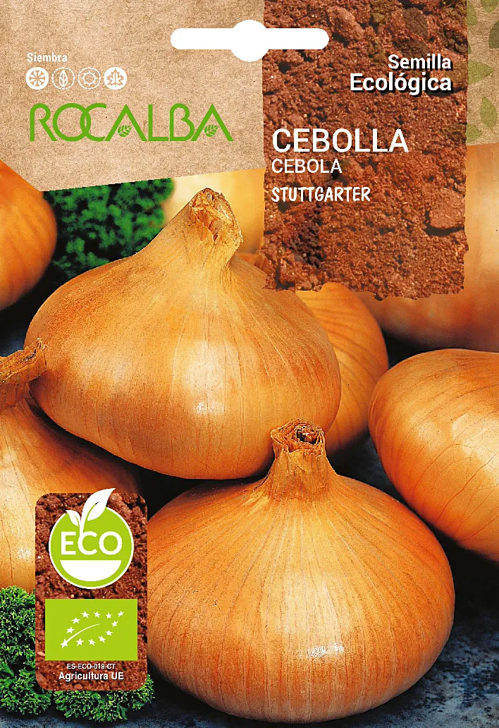 Semilla Ecologica Cebolla Stuttgarter