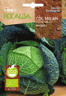 Semilla Ecologica Col Milan Virtudes 2