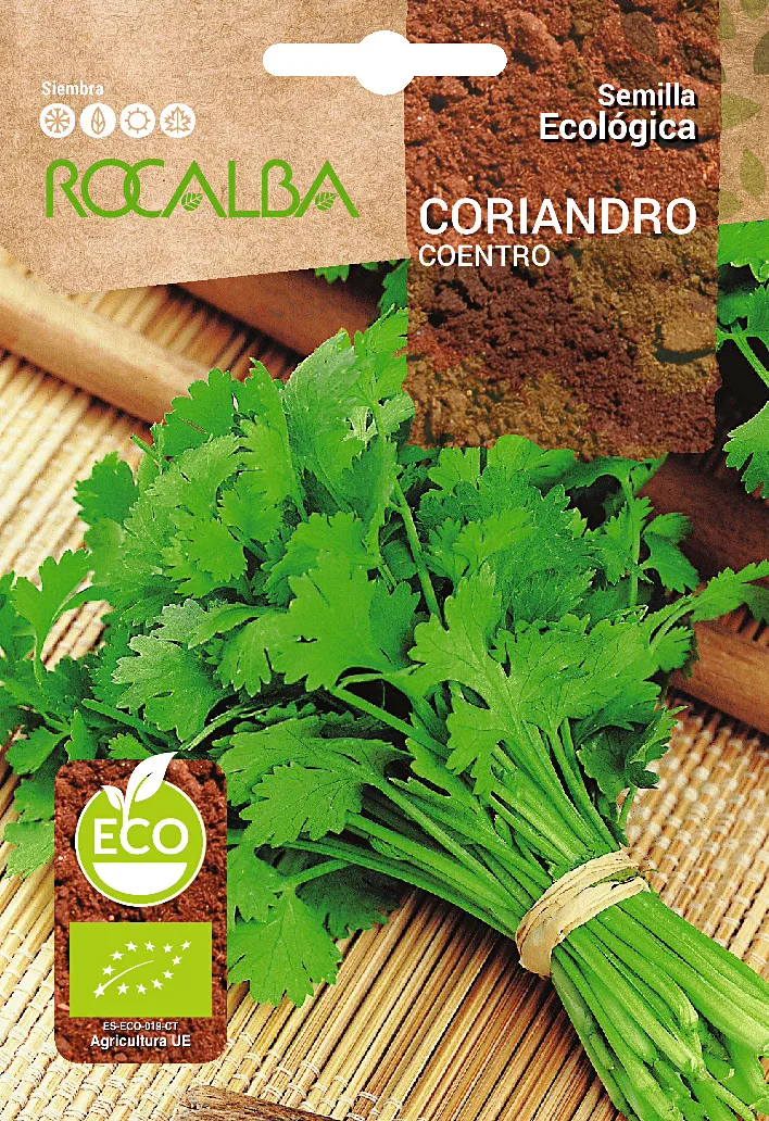 Semilla Ecologica Coriandro