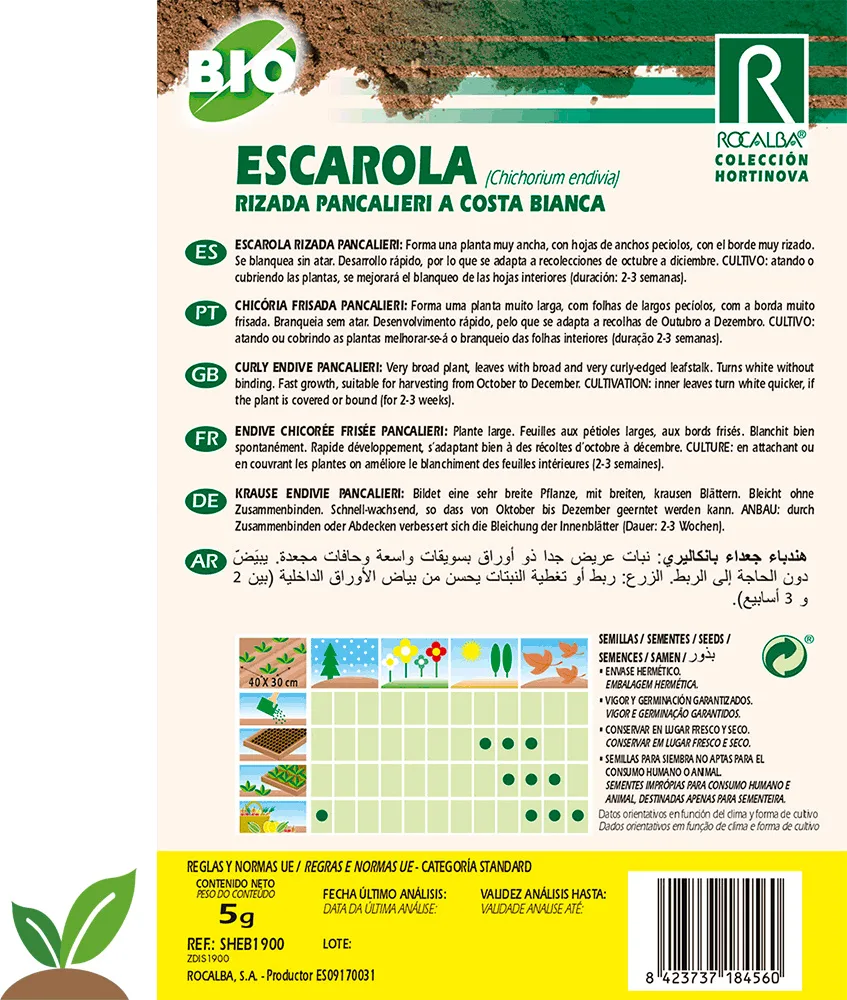 Semilla Ecologica Escarola Rizada Pancalieri Costa Bia — foto 2