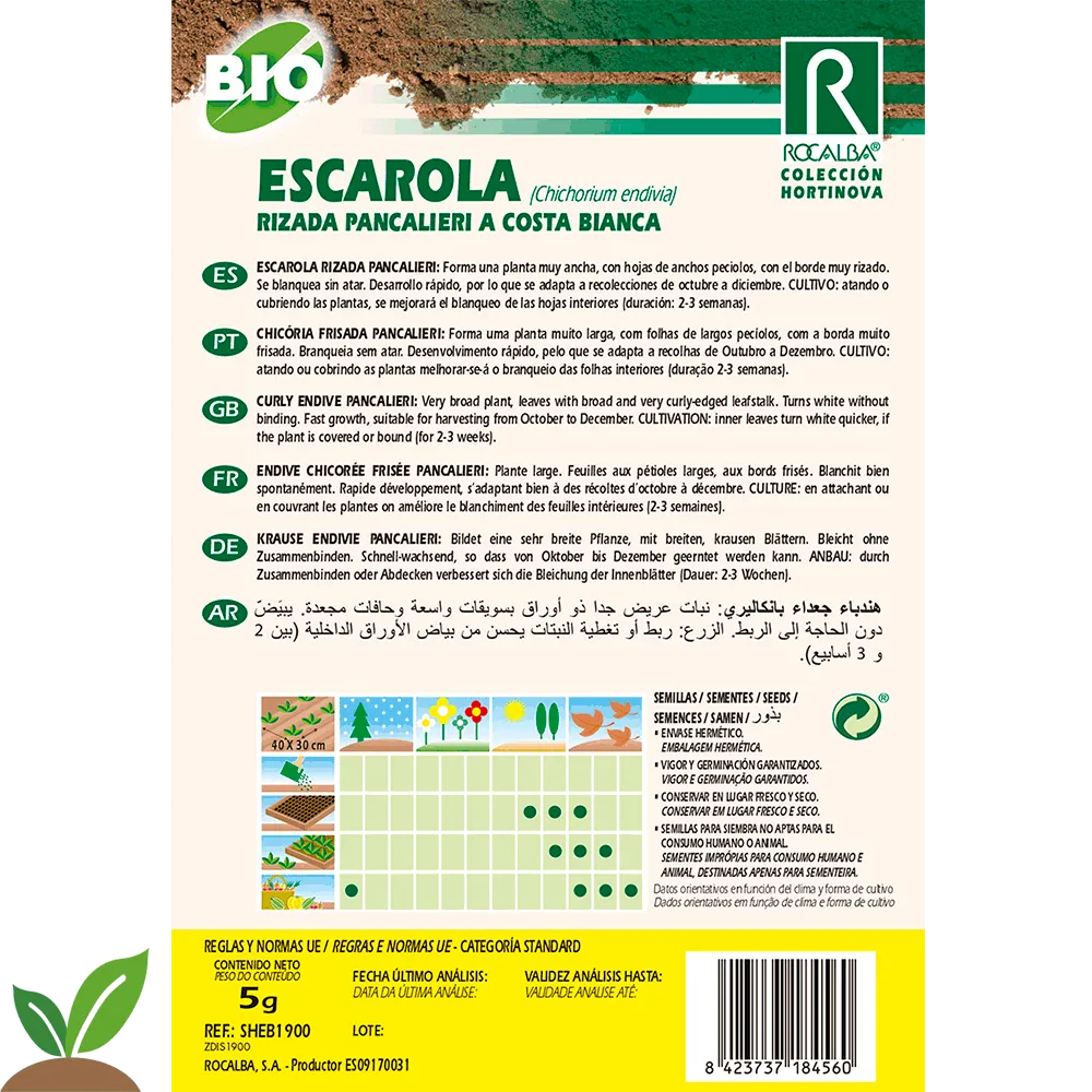 Semilla Ecologica Escarola Rizada Pancalieri Costa Bia — foto 3