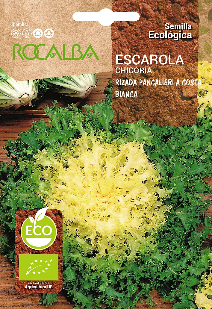 Semilla Ecologica Escarola Rizada Pancalieri Costa Bia