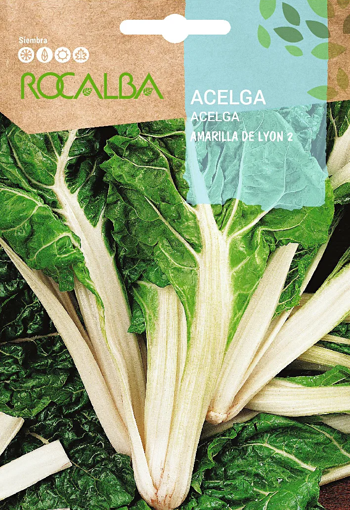 Semilla Acelga Amarilla de Lyon 2