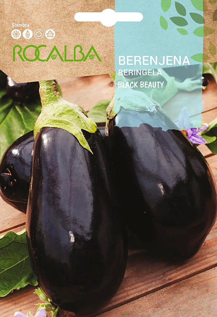 Semilla Berenjena Negra Belleza