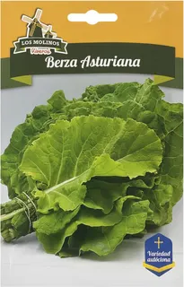 Semilla Berza Amarilla de Asturias 5 Gr