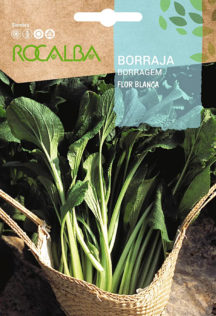 Semilla Borraja de Flor blanca