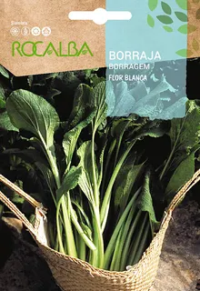 Semilla Borraja de Flor blanca