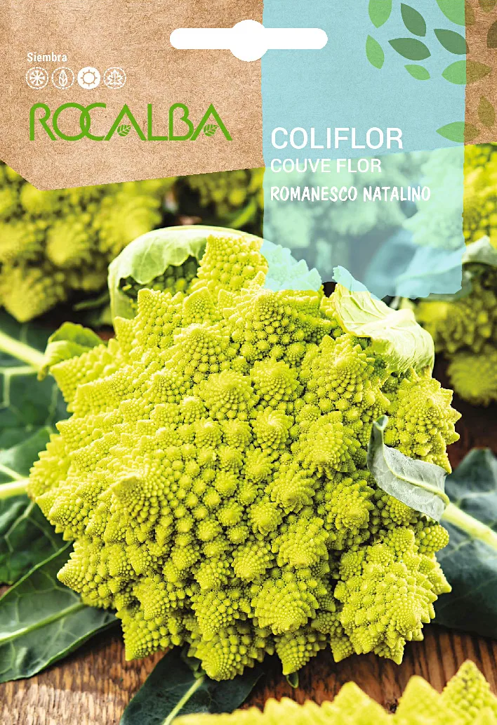 Semilla Coliflor Romanesco 8 gr