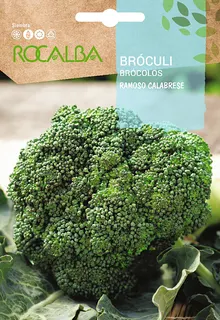 Semilla Brocoli Verde Calabrese