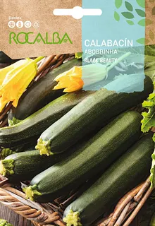 Semilla Calabacin Black Beauty (Negro Belleza)