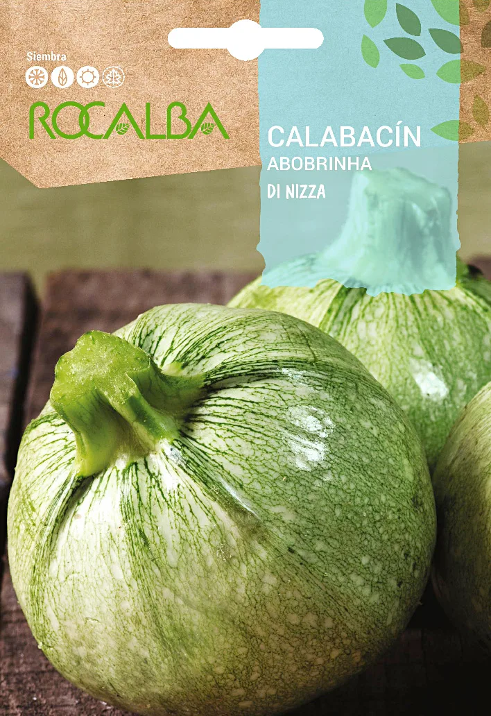 Semilla Calabacin Redondo de Niza