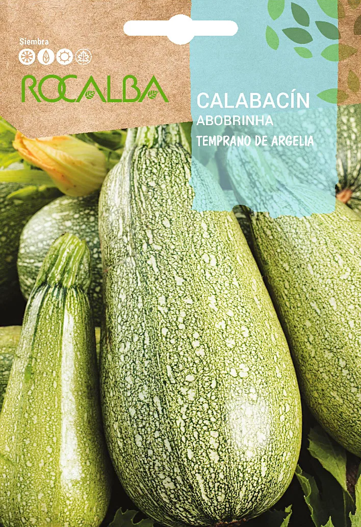 Semilla Calabacin Temprano de Argelia — foto principal