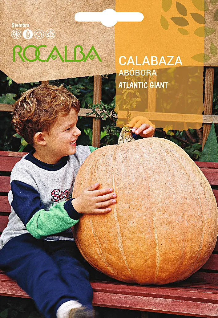 Semilla Calabaza Atlantic Giant 5 gr