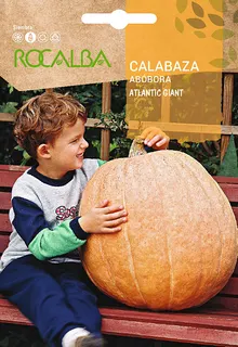 Semilla Calabaza Atlantic Giant 5 gr