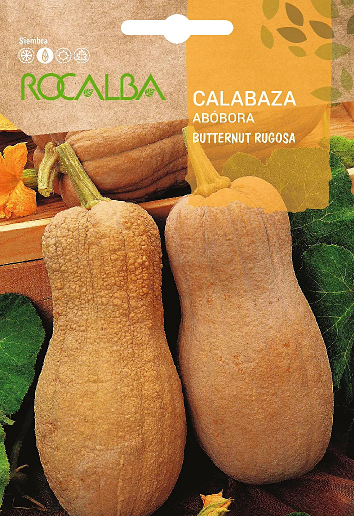 Semilla Calabaza Burrernut Rugosa 5 gr — foto principal