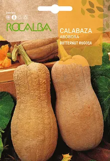 Semilla Calabaza Burrernut Rugosa 5 gr