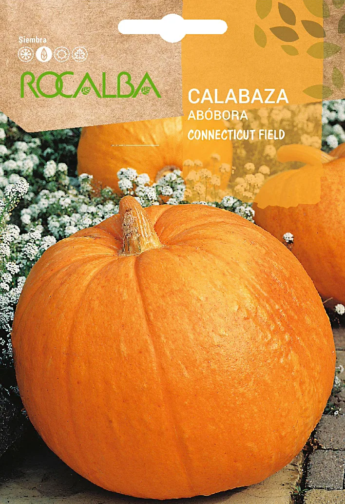 Semilla Calabaza Connectitut Field 5 gr