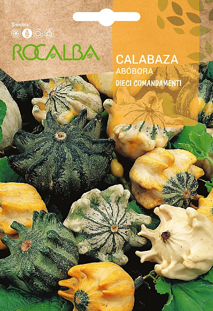 Semilla Calabaza Dieci Comandamenti 2 gr