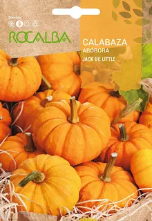 Semilla Calabaza Jack Be Little 3 gr